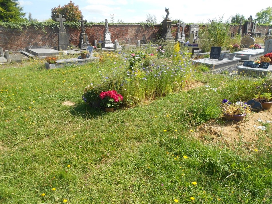 cimetières Erquennes Angreau Roisin Wallonie en fleurs 2019 058.JPG